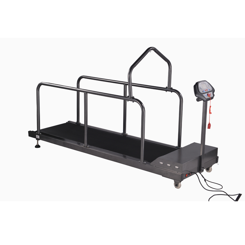 Agility dog training machine Buy Agility dog training machine Product
